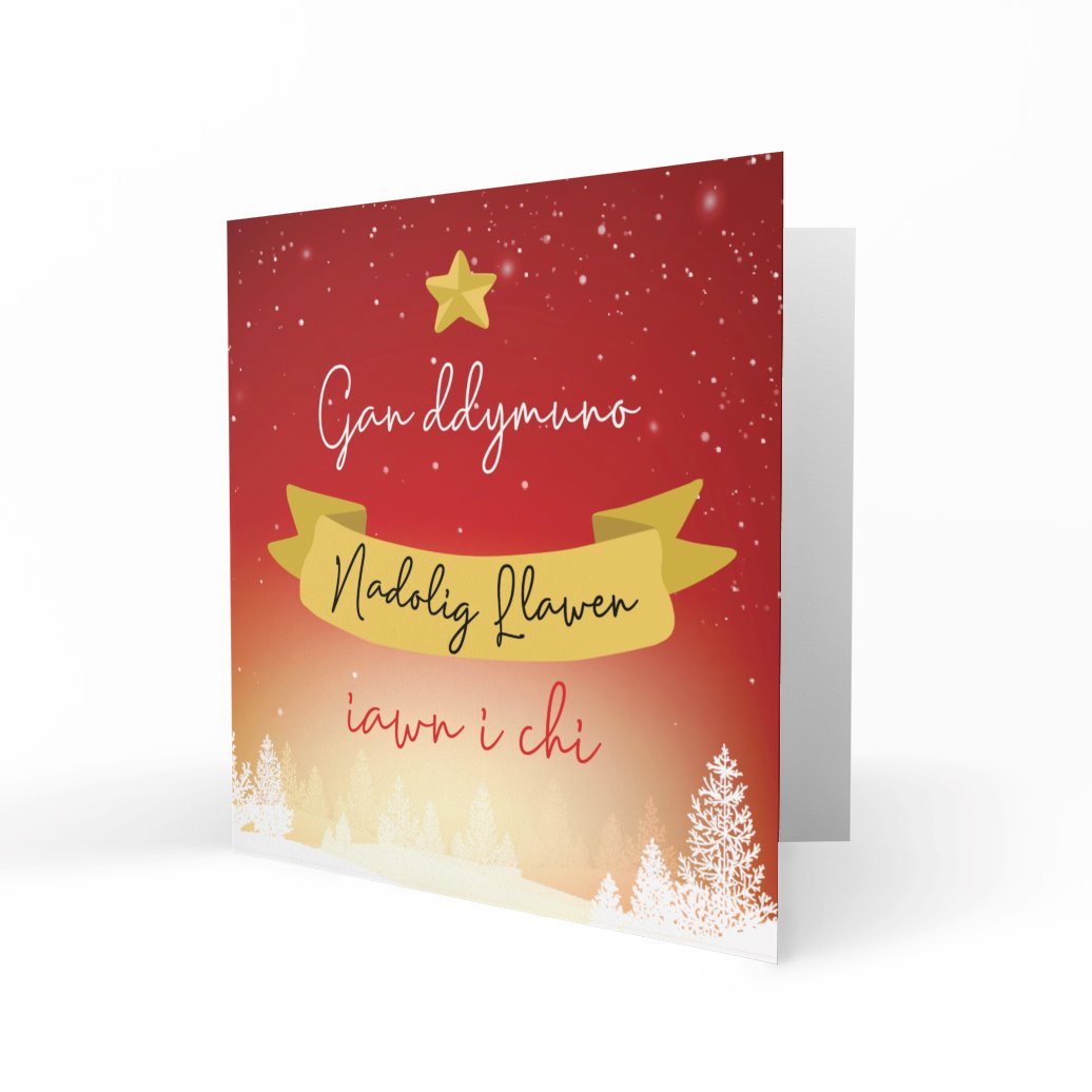 'Gan Ddymuno Nadolig Llawen Iawn i Chi' - Wishing You A Very Merry Christmas Greeting Cards Chasing Cards 